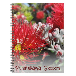 Cuaderno Florecimiento rojo del árbol de navidad de Nueva Z