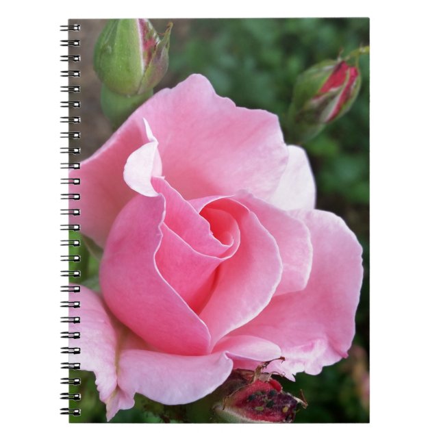 Cuaderno florecimiento rosa rosado (Frente)
