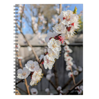 Cuaderno Flores