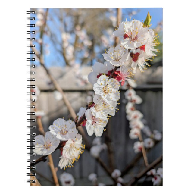 Cuaderno Flores (Frente)