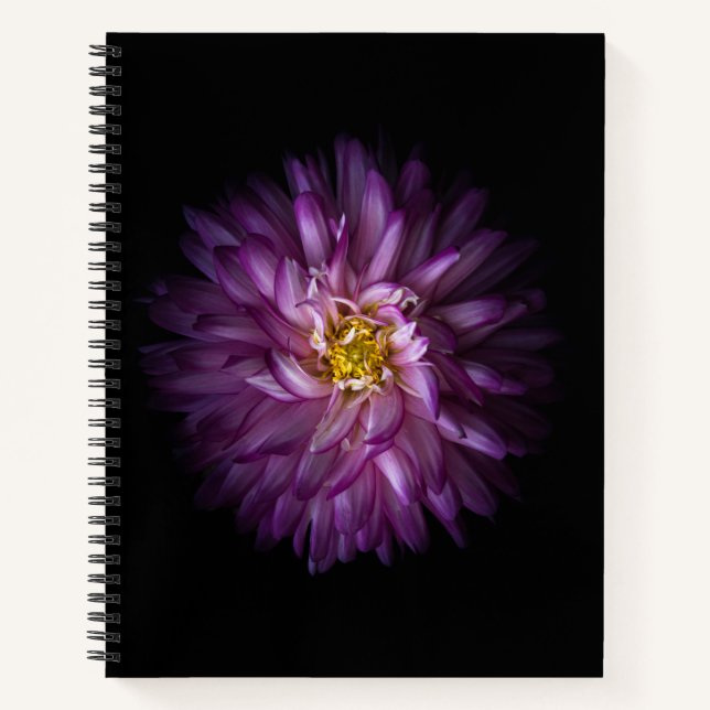 Cuaderno Flores 20 (Anverso)