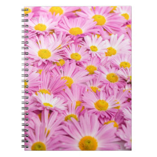 Cuaderno Flores Amarillas Rosadas fondo transparente