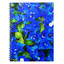 Cuaderno Flores azules vibrantes del Bougainvillea