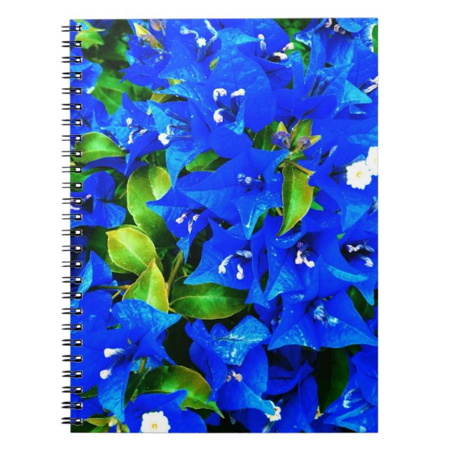 Cuaderno Flores azules vibrantes del Bougainvillea (Frente)