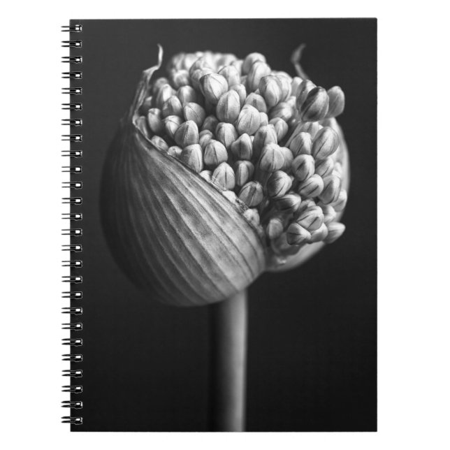 Cuaderno Flores | B&W Allium Flower Bud (Frente)