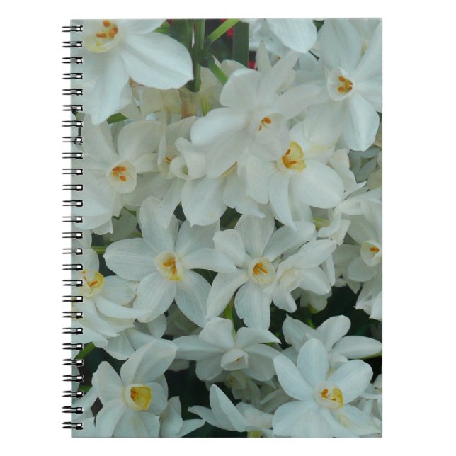 Cuaderno Flores blancas de arcissus paperblancas (Frente)