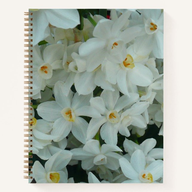 Cuaderno Flores blancas de arcissus paperblancas (Anverso)