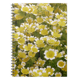 Cuaderno Flores blancas de oro soleado