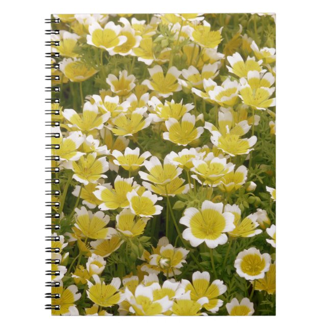 Cuaderno Flores blancas de oro soleado (Frente)