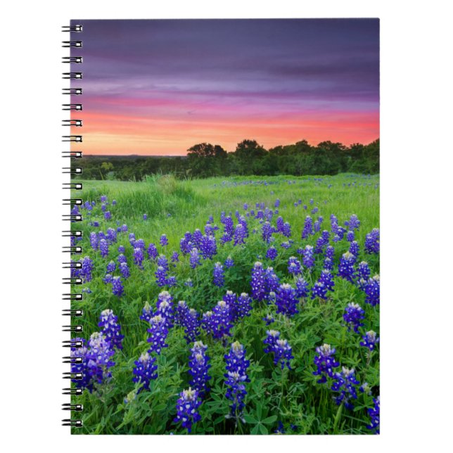 Cuaderno Flores | Bluebonnets en Sunset Texas (Frente)