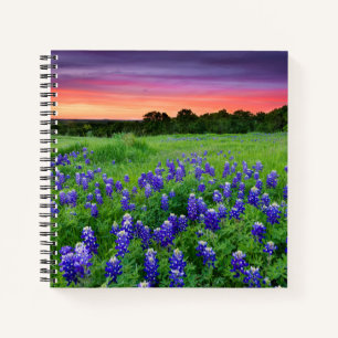 Cuaderno Flores Bluebonnets en Sunset Texas