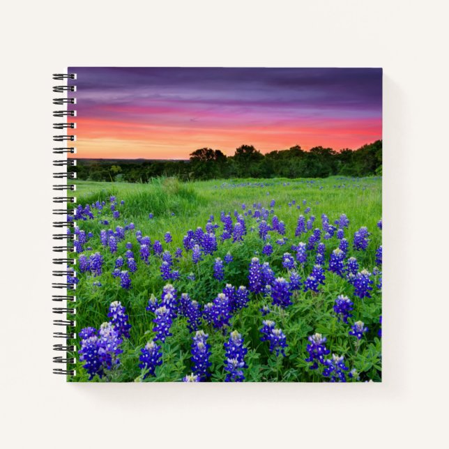 Cuaderno Flores | Bluebonnets en Sunset Texas (Anverso)
