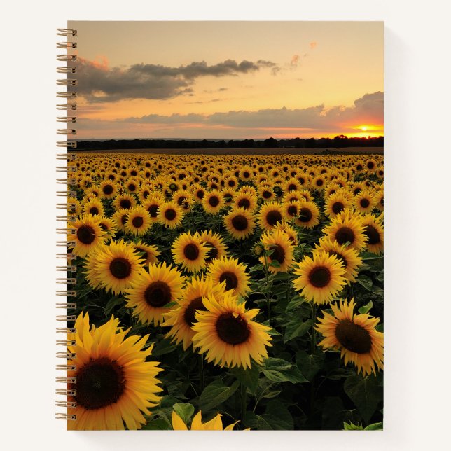 Cuaderno Flores | Campo de girasol (Anverso)