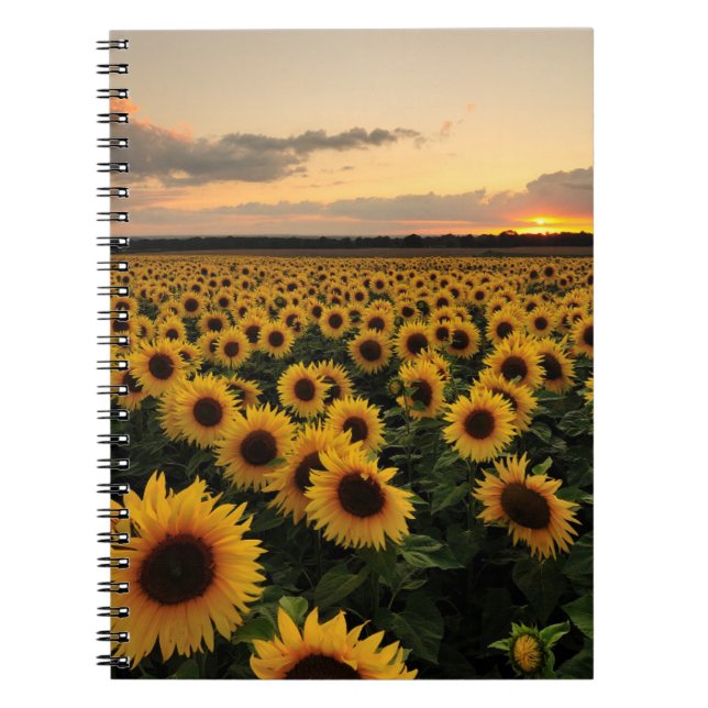 Cuaderno Flores | Campo de girasol (Frente)