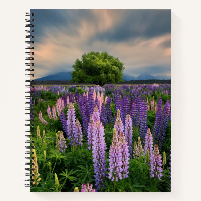 Cuaderno Flores | Campo de la lupa en Nueva Zelanda (Anverso)