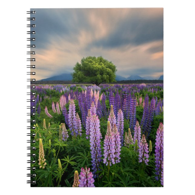 Cuaderno Flores | Campo de la lupa en Nueva Zelanda (Frente)