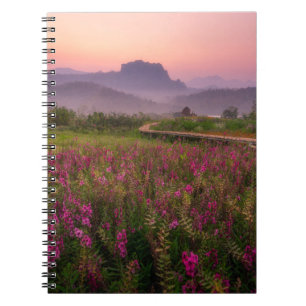 Cuaderno Flores   Chiang Dao, Chiang Mai, Tailandia