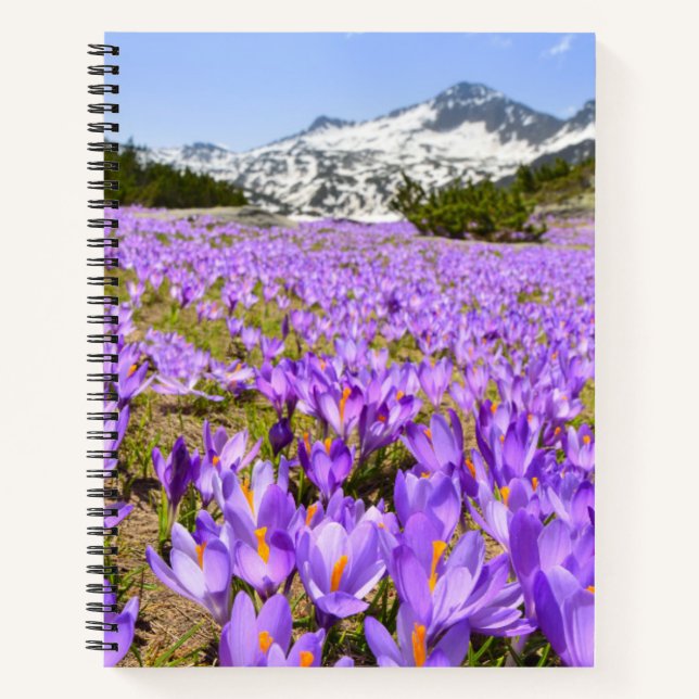Cuaderno Flores | Crocus Pirin Mountain Park Bulgaria (Anverso)