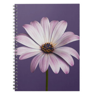 Cuaderno Flores Daisy blanco y púrpura