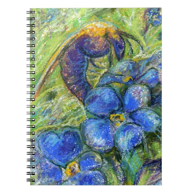 Cuaderno Flores de abeja y olvidadiza (Frente)