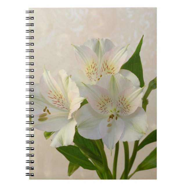 Cuaderno Flores de Alstromeria Blanca (Frente)