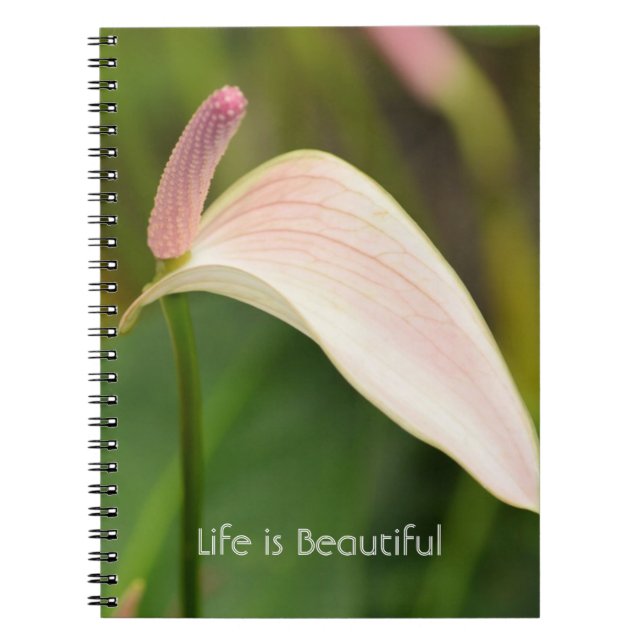 Cuaderno Flores de Anturio Rosado Kauai (Frente)
