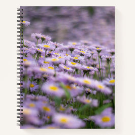 Cuaderno Flores de Aster Púrpura