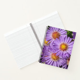 Cuaderno Flores de Aster Púrpura Floral