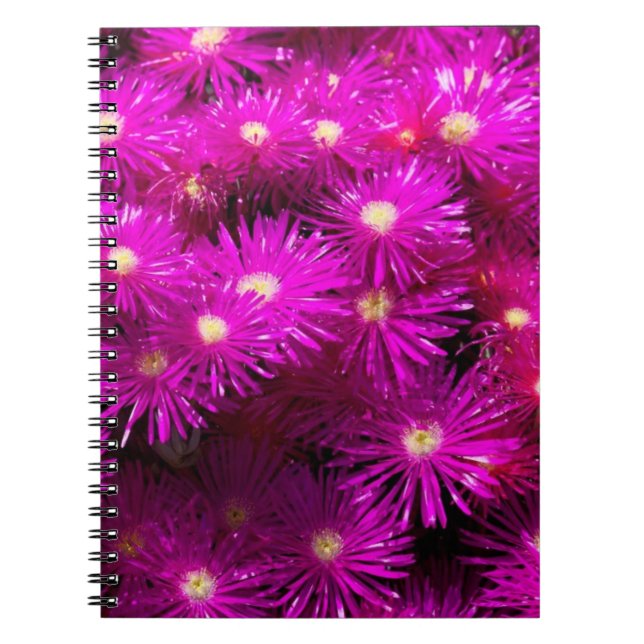 Cuaderno Flores de Aster Rosa (Frente)