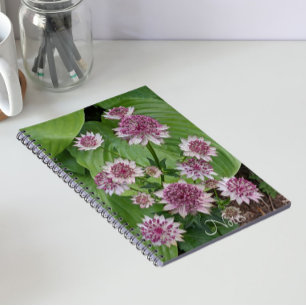 Cuaderno Flores de Astrantia Rosa