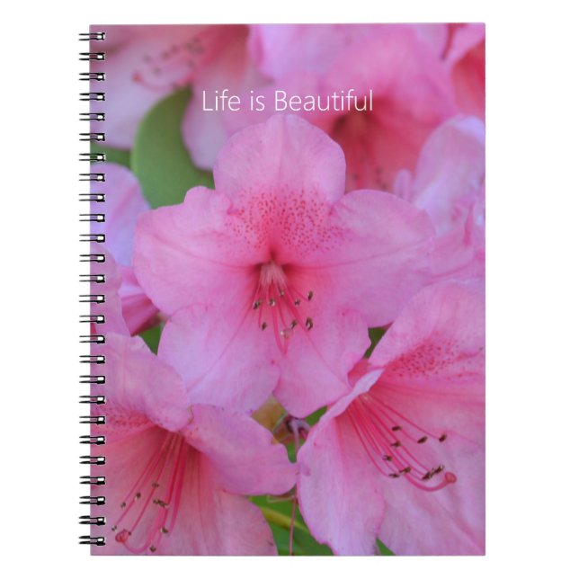 Cuaderno Flores de Azalea Rosada (mi fotografía) (Frente)