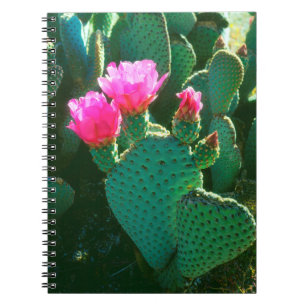 Cuaderno Flores de Cactus de Cola de Castor