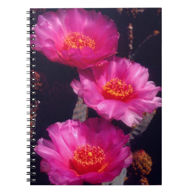 Cuaderno Flores de Cactus de Cola de Castor 2 (Frente)