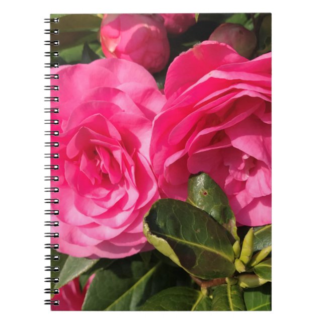 Cuaderno Flores de camellia rosadas oscuras (Frente)