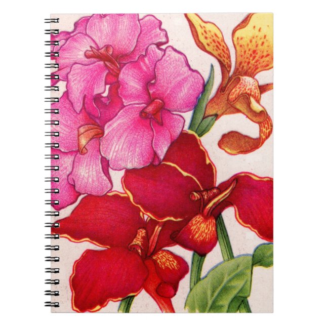 Cuaderno flores de caná (Frente)