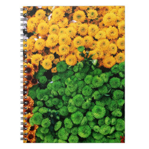 Cuaderno Flores de cáscara surtidas