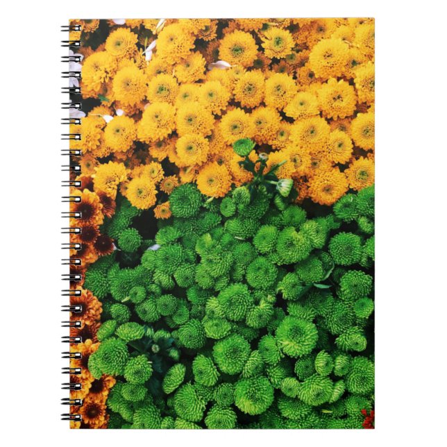 Cuaderno Flores de cáscara surtidas (Frente)