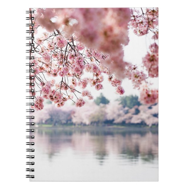 Cuaderno Flores de cerezo (Frente)