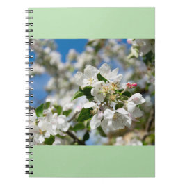 Cuaderno Flores de cerezo.