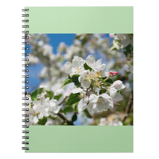 Cuaderno Flores de cerezo. (Frente)