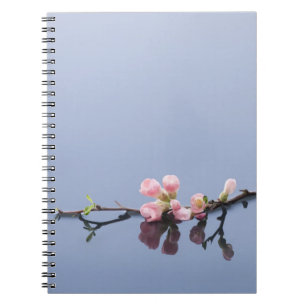 Cuaderno Flores de cerezo en el agua