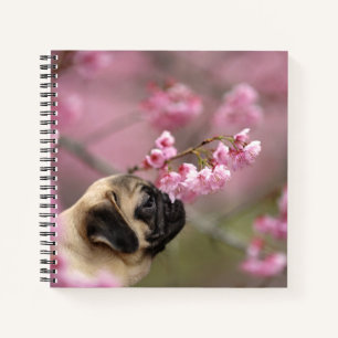 Cuaderno Flores de cerezo en picor