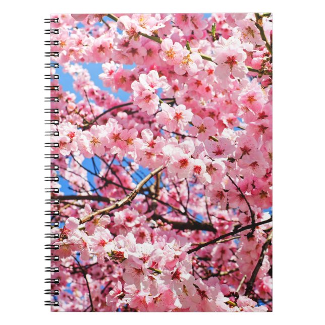 Cuaderno Flores de cerezo japonesas (Frente)