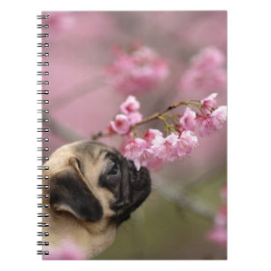 Cuaderno Flores de cerezo que huelen