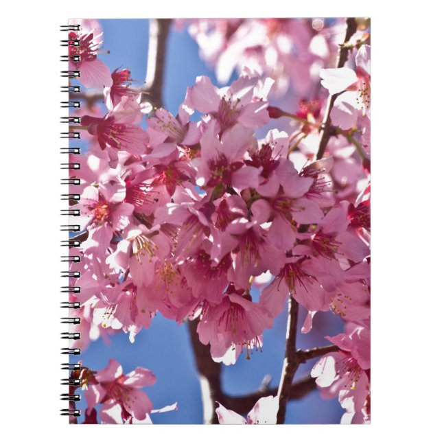 Cuaderno Flores de Cerezo Sakura Estrellas Rojas (Frente)