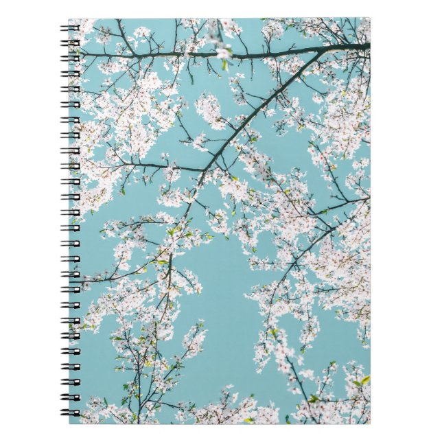 Cuaderno Flores de cerezo: Tendencia floral turquesa (Frente)