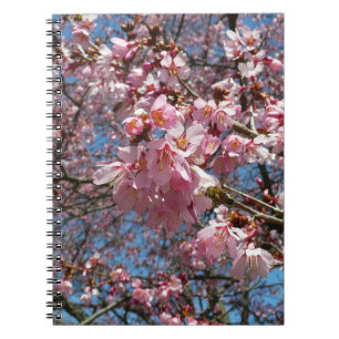 Cuaderno Flores de cerezo y de primavera rosada de abeja