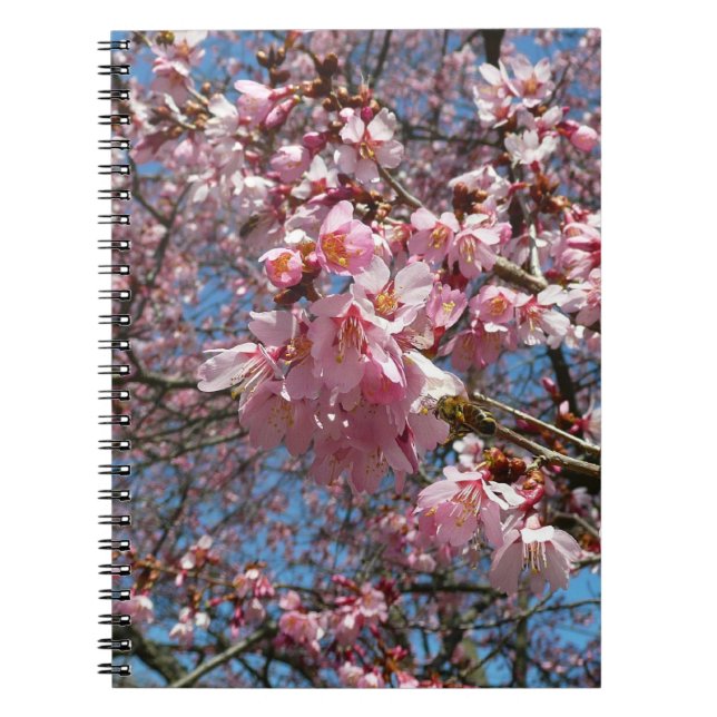 Cuaderno Flores de cerezo y de primavera rosada de abeja (Frente)
