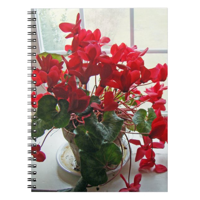 Cuaderno Flores de ciclamen rojo (Frente)