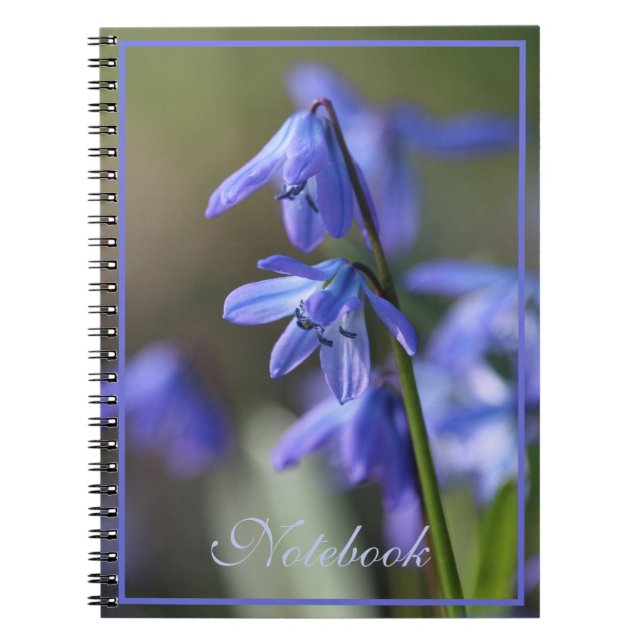 Cuaderno Flores de cilla azul siberica (esquisto de madera) (Frente)